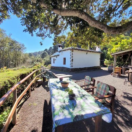 Finca Llano De La Cebolla 伊科德·德·洛斯·维诺斯 外观 照片