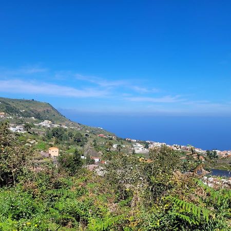 Finca Llano De La Cebolla 伊科德·德·洛斯·维诺斯 外观 照片