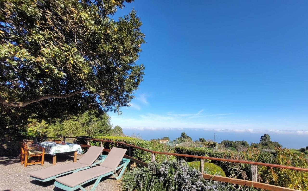 Finca Llano De La Cebolla 伊科德·德·洛斯·维诺斯 外观 照片