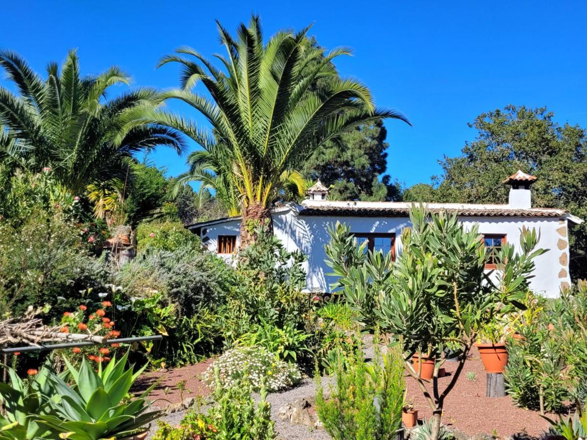 Finca Llano De La Cebolla 伊科德·德·洛斯·维诺斯 外观 照片
