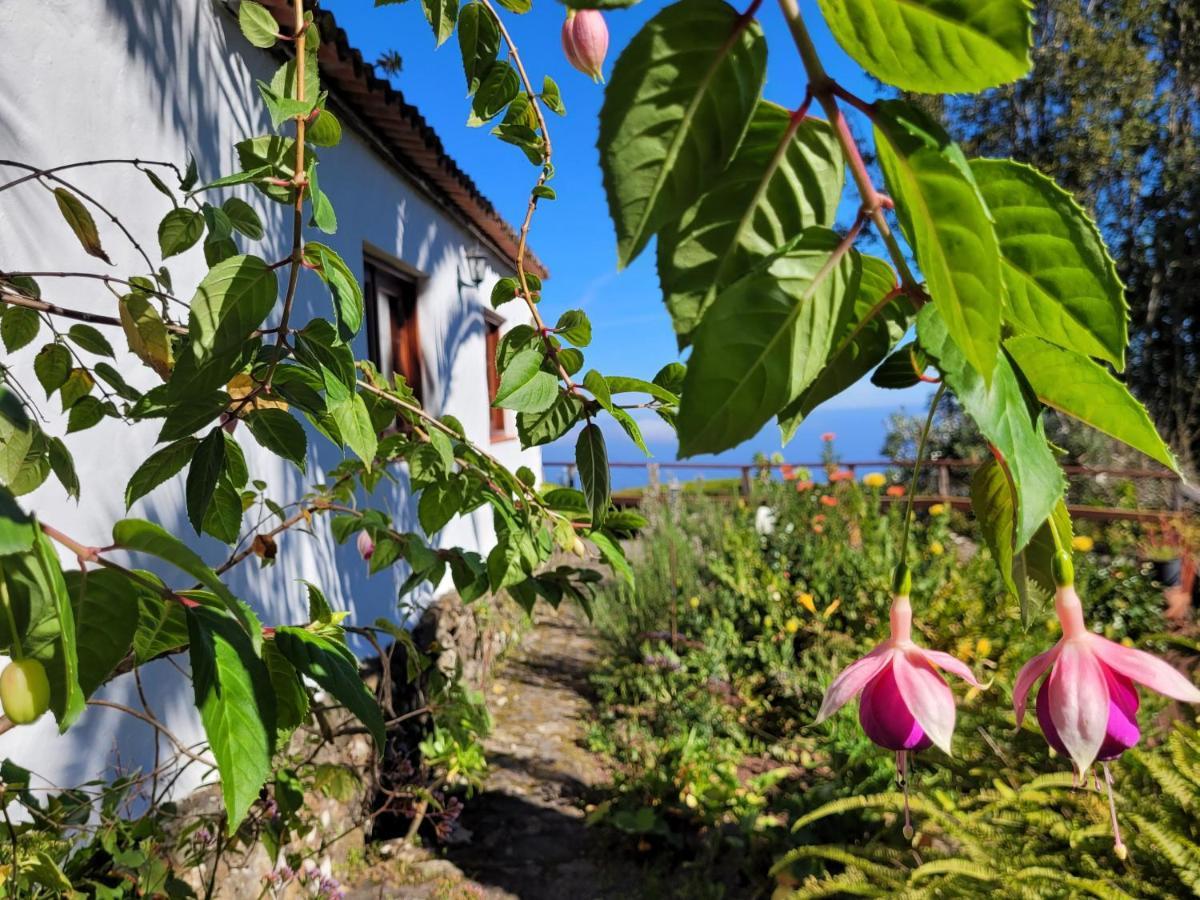 Finca Llano De La Cebolla 伊科德·德·洛斯·维诺斯 外观 照片