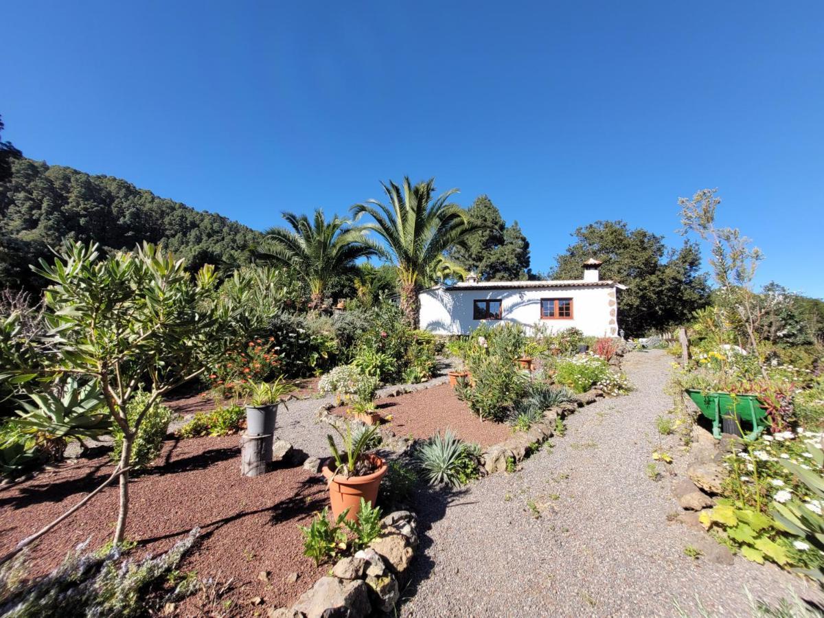 Finca Llano De La Cebolla 伊科德·德·洛斯·维诺斯 外观 照片