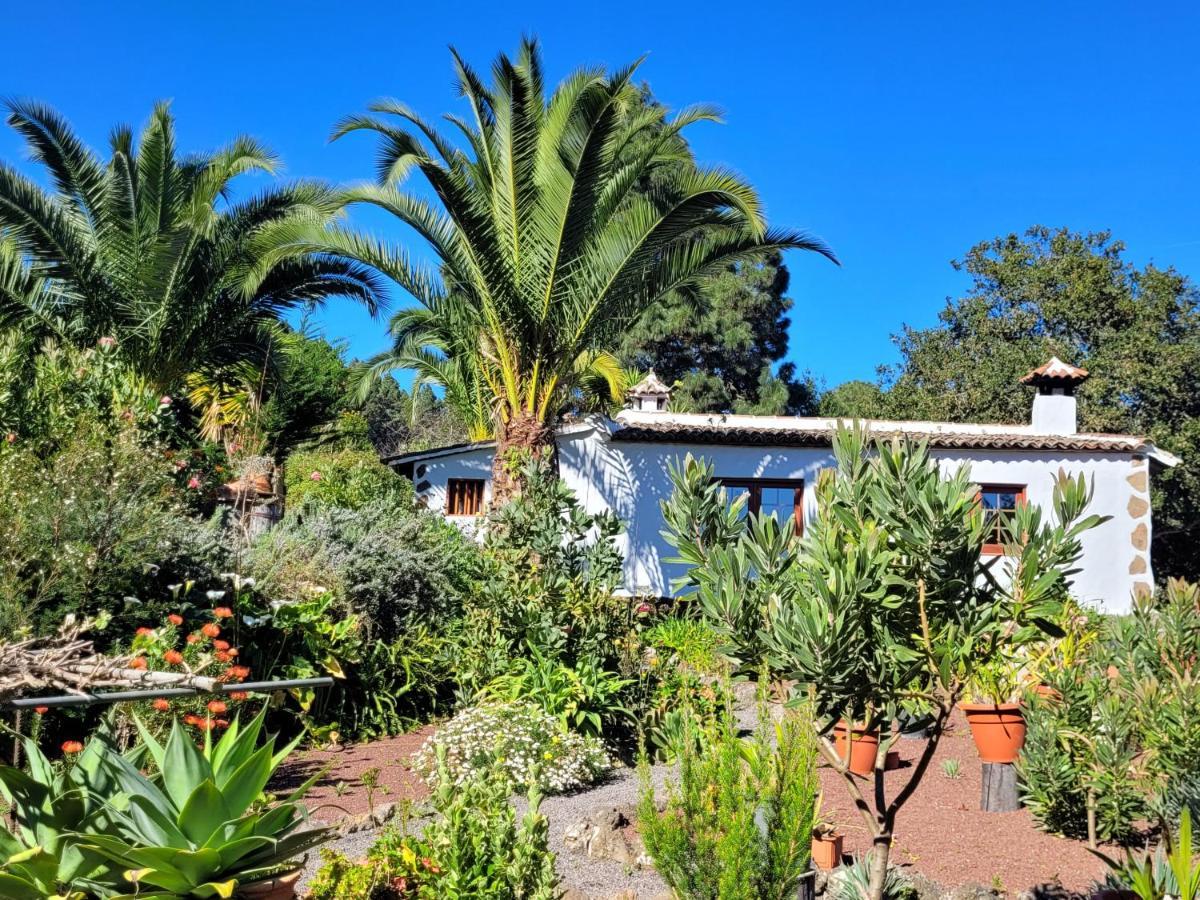 Finca Llano De La Cebolla 伊科德·德·洛斯·维诺斯 外观 照片