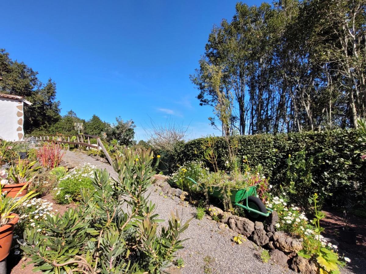 Finca Llano De La Cebolla 伊科德·德·洛斯·维诺斯 外观 照片