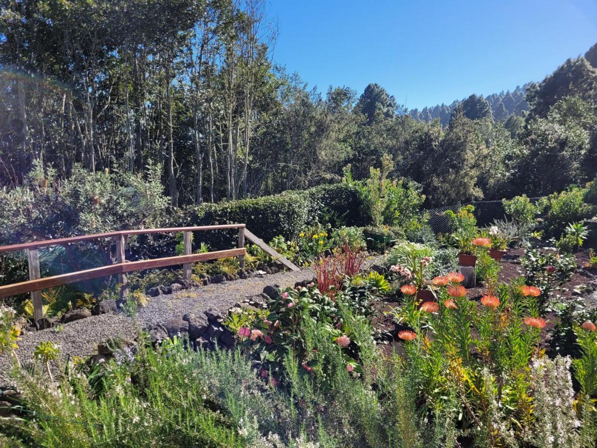 Finca Llano De La Cebolla 伊科德·德·洛斯·维诺斯 外观 照片