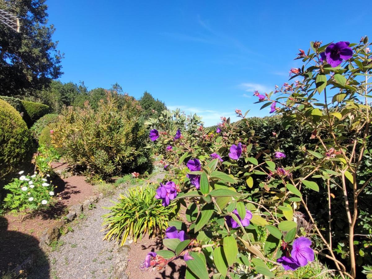 Finca Llano De La Cebolla 伊科德·德·洛斯·维诺斯 外观 照片