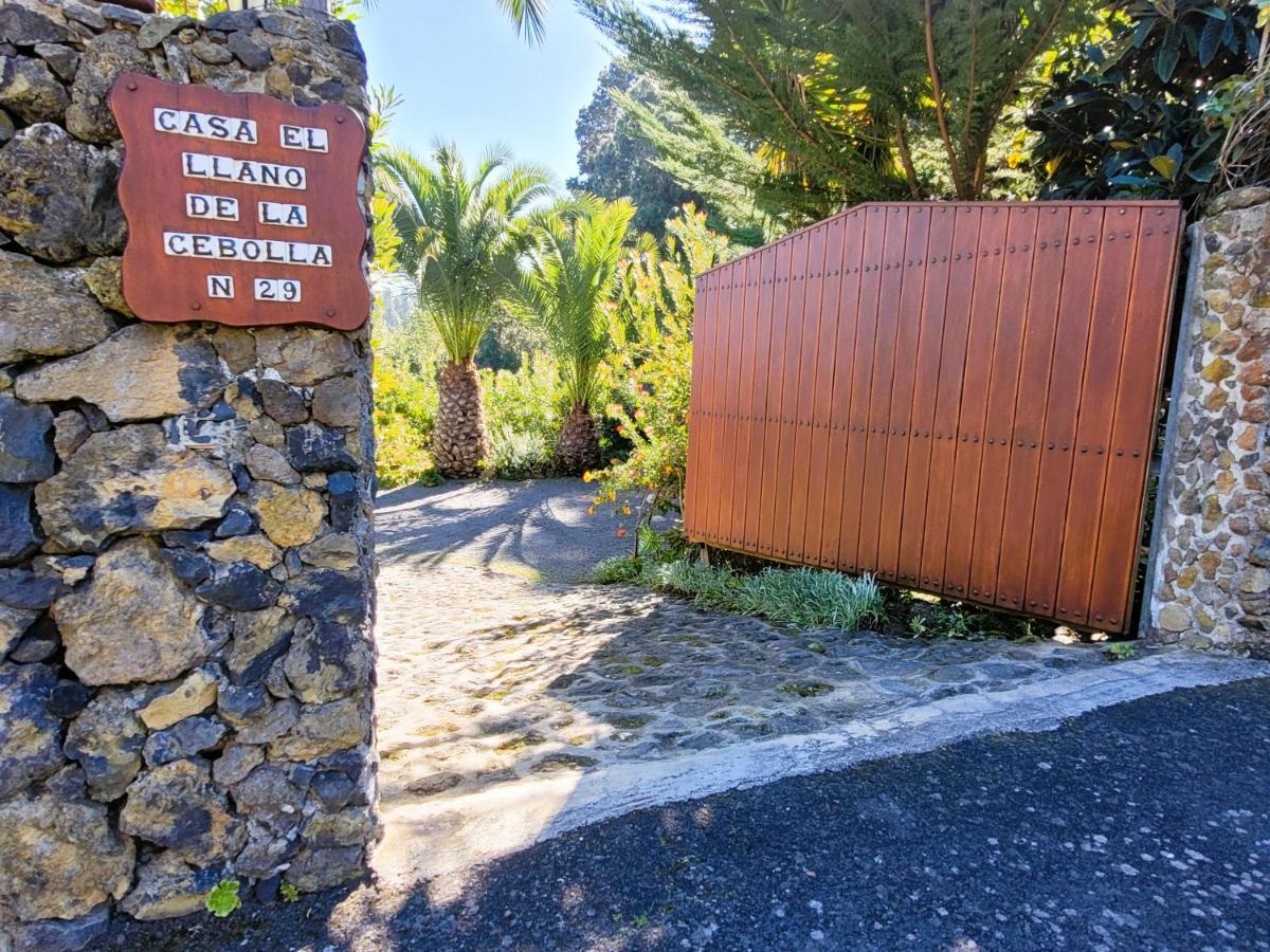 Finca Llano De La Cebolla 伊科德·德·洛斯·维诺斯 外观 照片