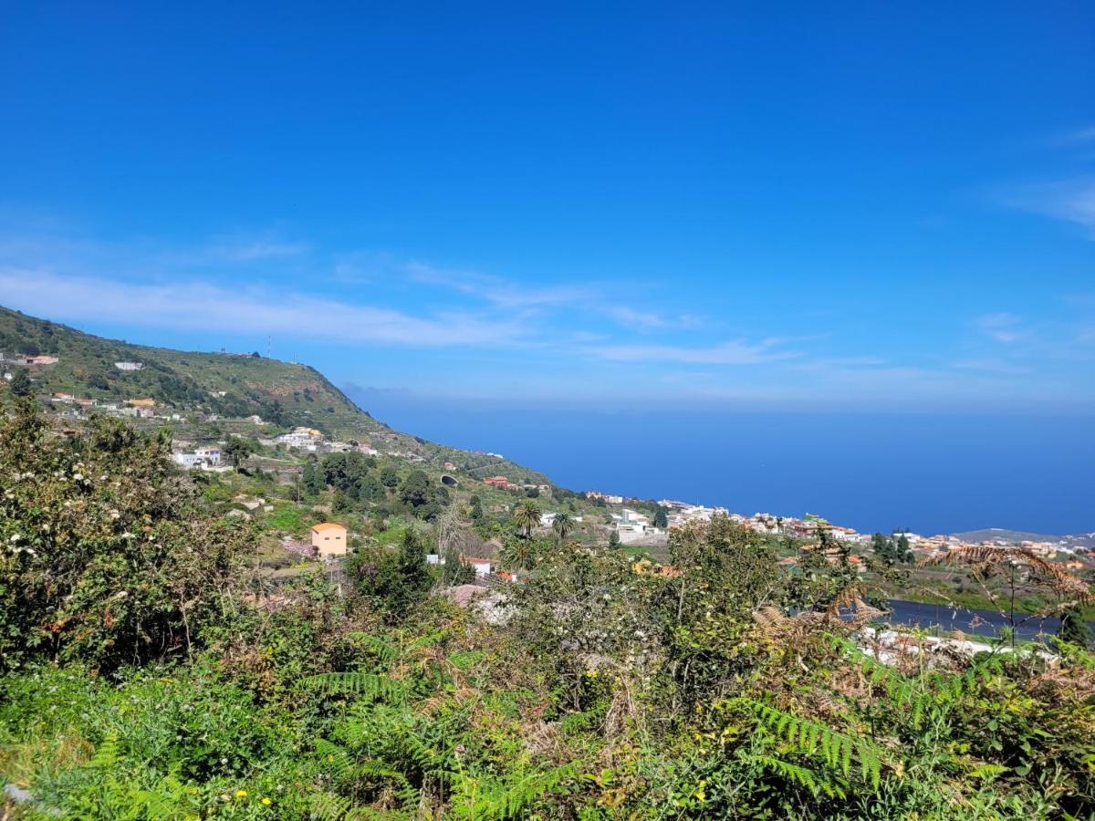 Finca Llano De La Cebolla 伊科德·德·洛斯·维诺斯 外观 照片
