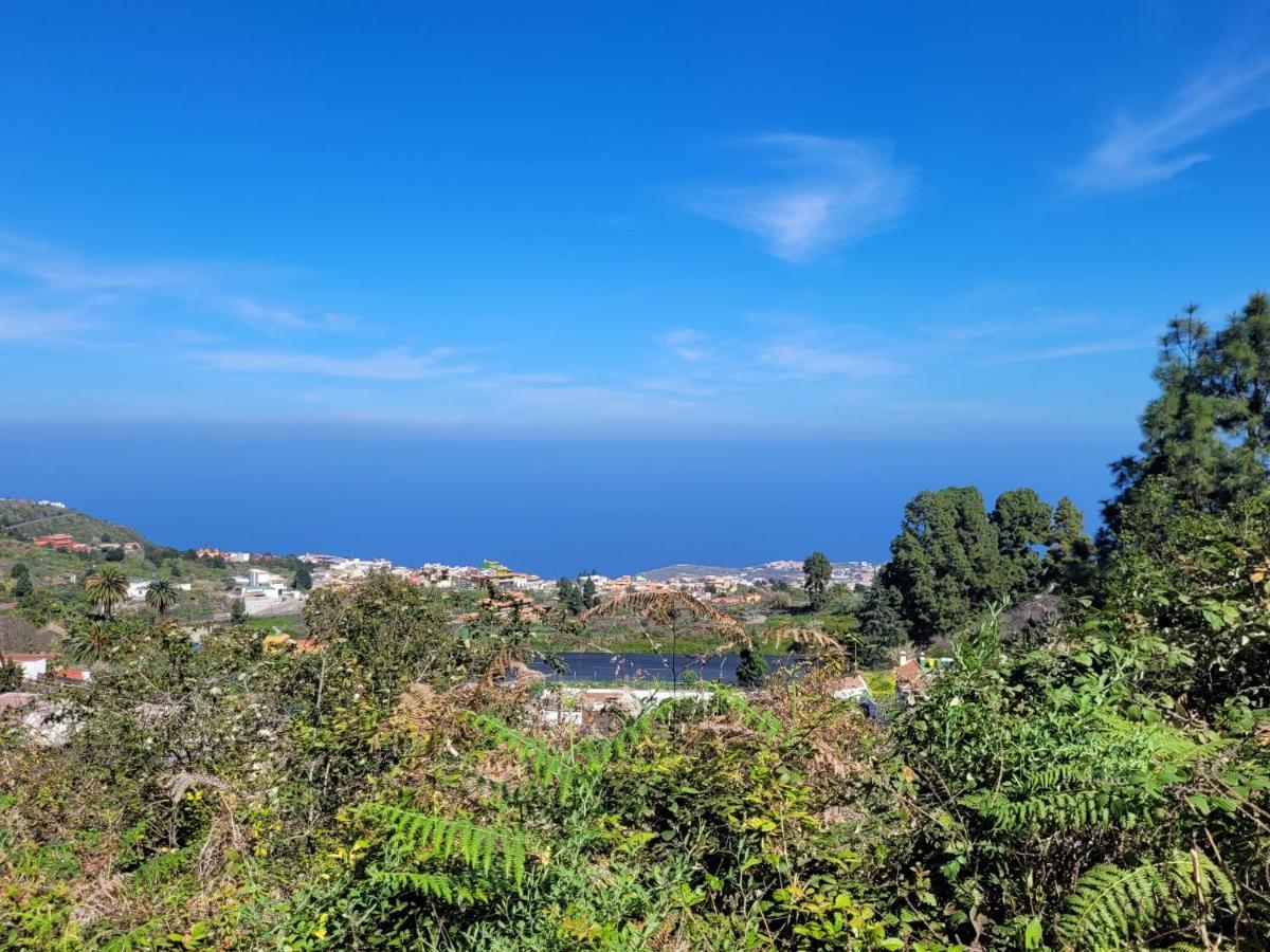 Finca Llano De La Cebolla 伊科德·德·洛斯·维诺斯 外观 照片